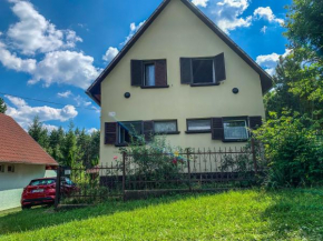 Kékesi Apartment with forest view